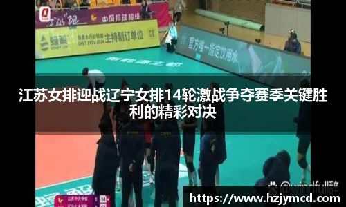 江苏女排迎战辽宁女排14轮激战争夺赛季关键胜利的精彩对决
